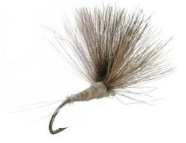 Caddis de CDC