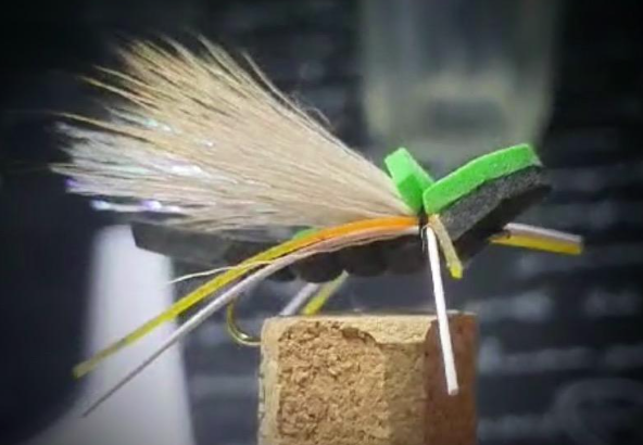 Cicada Foam