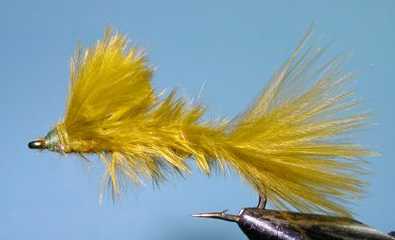 Marabou Damsel