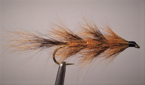 Fuzzy Wuzzy