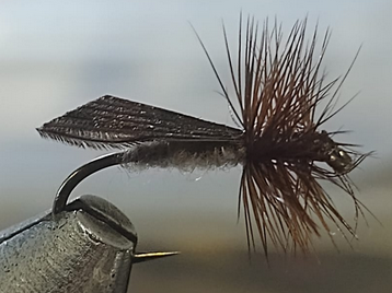 King River Caddis