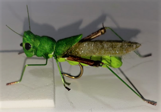 Langosta