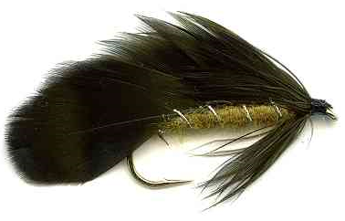 Matuka