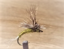 Mayfly Emerger