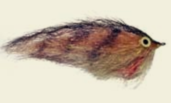 Mojarrón