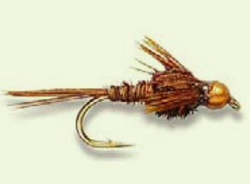 Pheasant Tail
