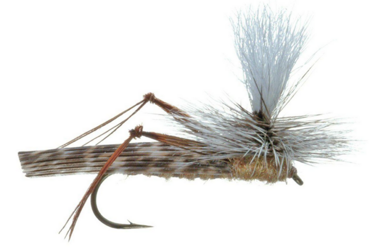 Lettort Hopper