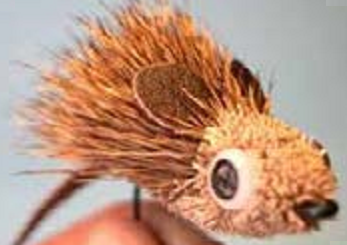 Rata de Pelo