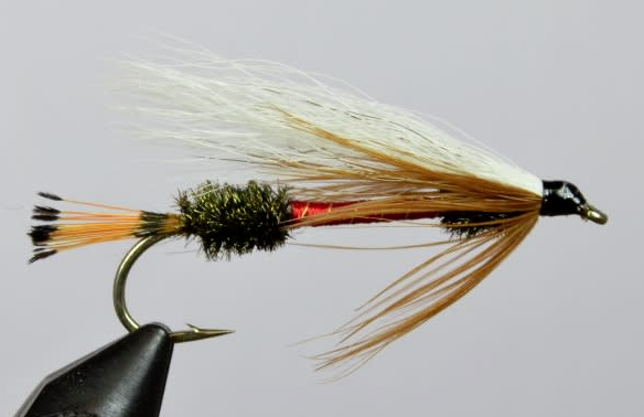 Royal Coachman Bucktail