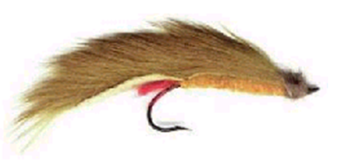 Rabbit Limay