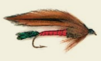 Light Spruce