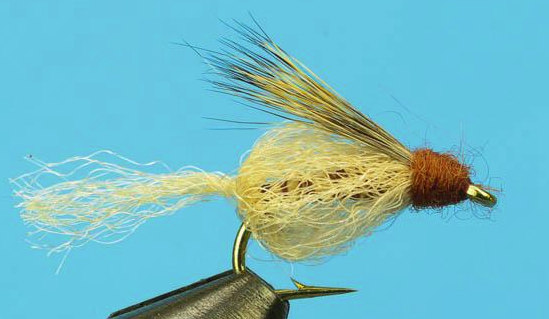 Clase 9: – Larva de caddis – Técnica Dubbings/Ribbings