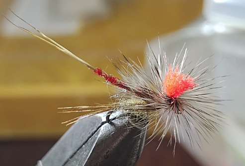 Mayfly Stillborn