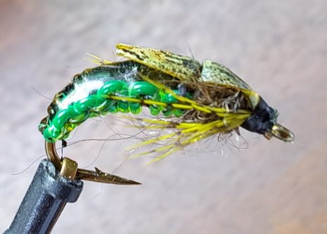 StoneFly Translucida