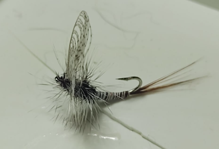 Wing Mayfly